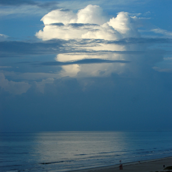 Meet your Posher, Posh - Picture 1 of 1